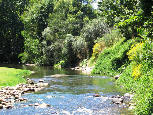 Nature 10