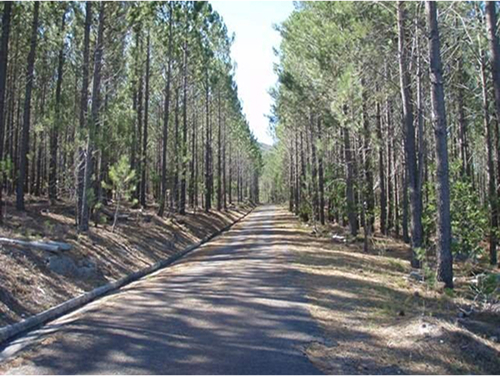 Road 9